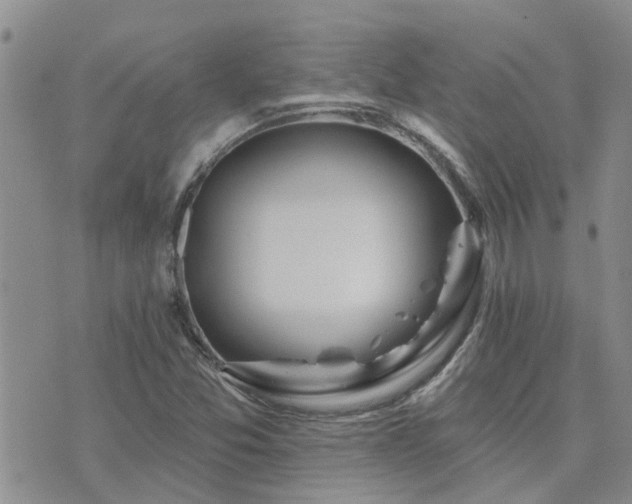 X0000073711357200608031229