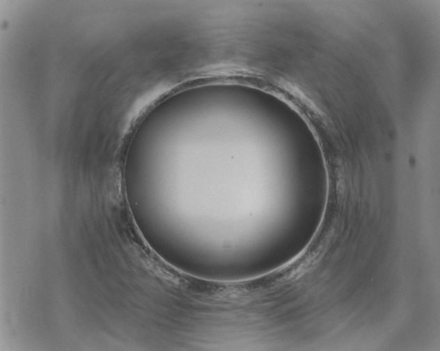 X0000073711358200608031229