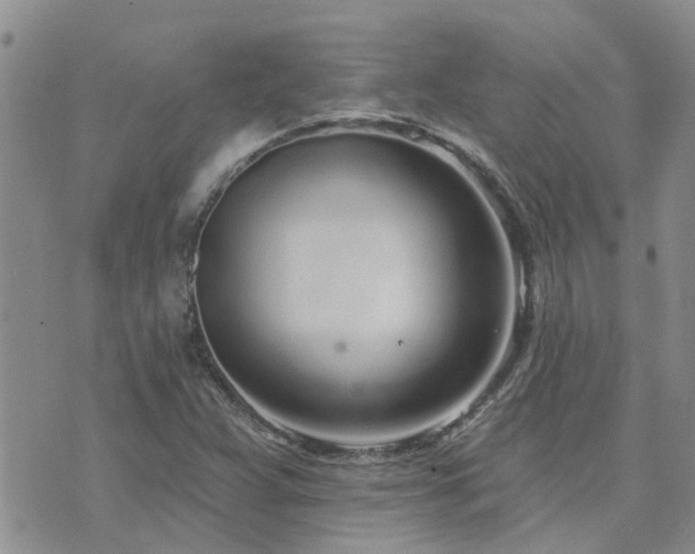 X0000073711359200608031229