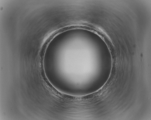 X0000073711360200608031229