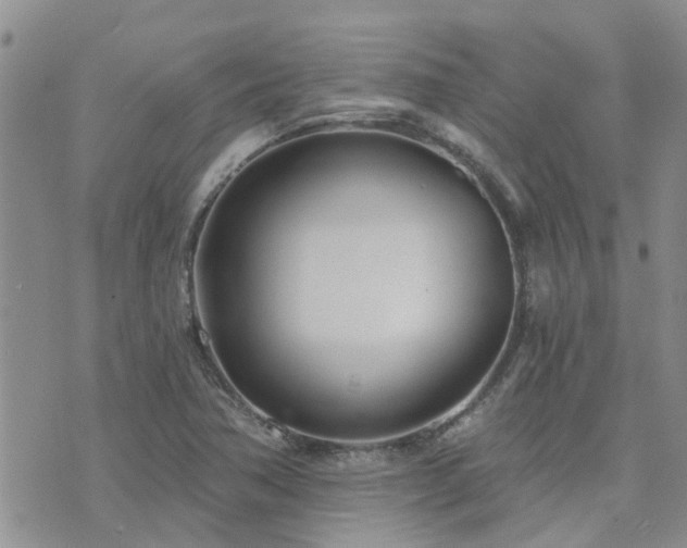 X0000073711362200608031229