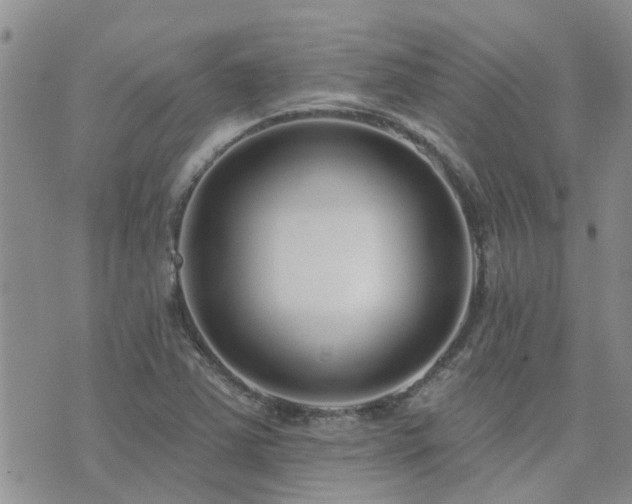 X0000073711363200608031229