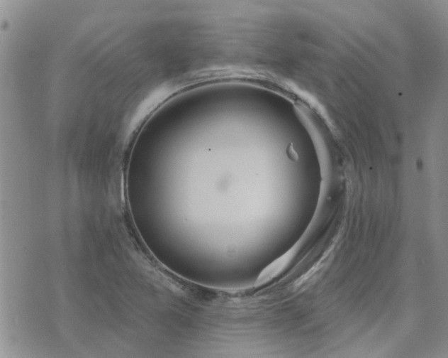 X0000073711365200608031229