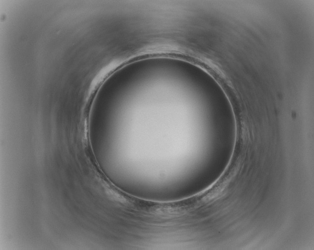 X0000073711366200608031229