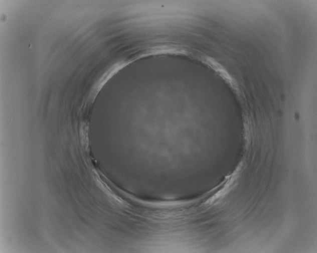 X0000073711369200608031229