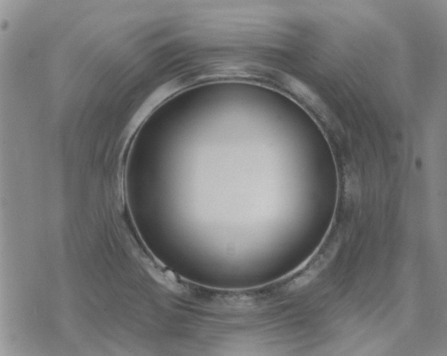 X0000073711370200608031229