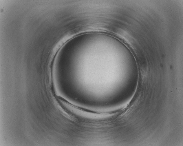 X0000073711371200608031229