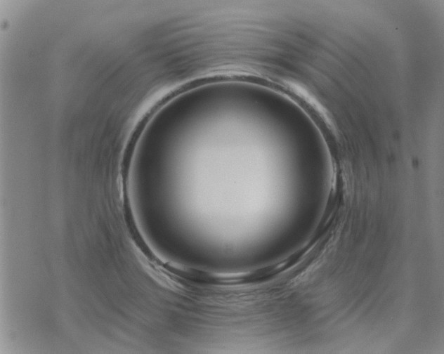 X0000073711372200608031229