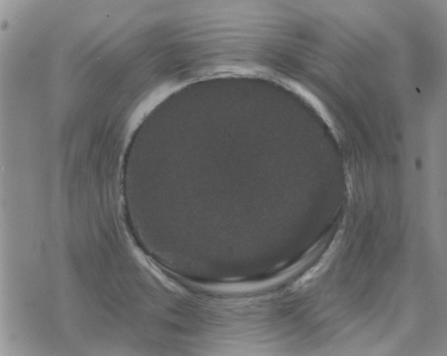 X0000073711373200608031229