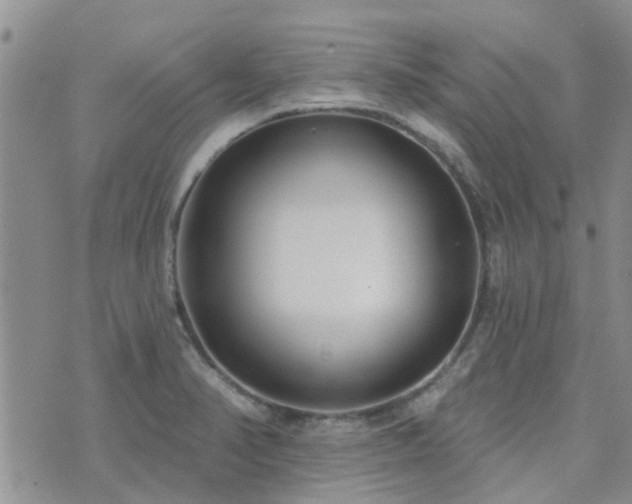 X0000073711374200608031229