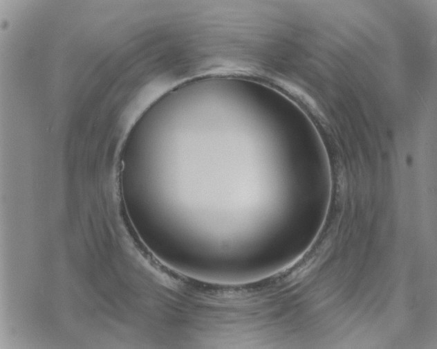 X0000073711375200608031229