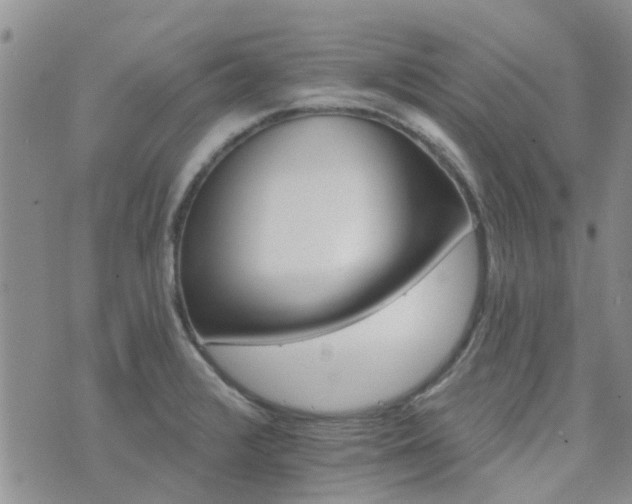 X0000073711376200608031229