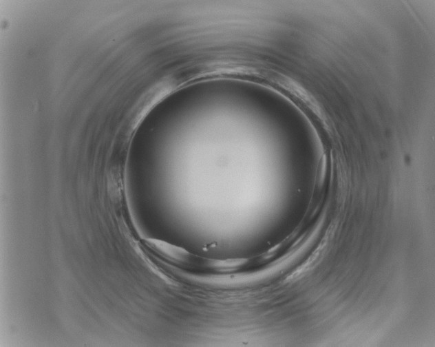 X0000073711377200608031229