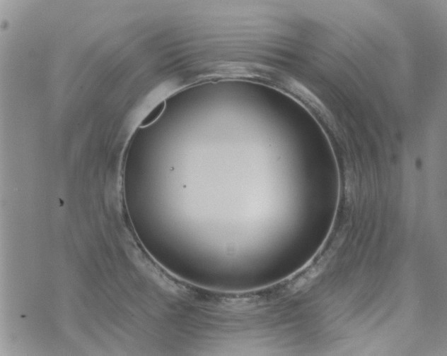 X0000073711378200608031229