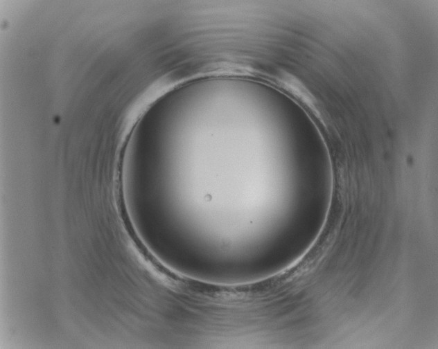 X0000073711379200608031229