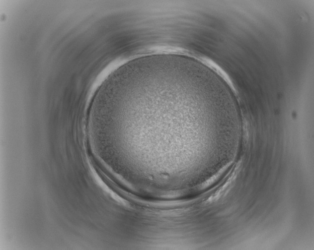 X0000073711381200608031229