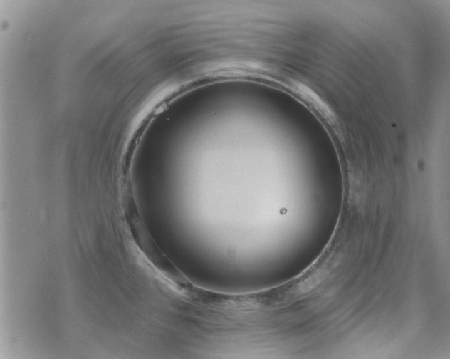 X0000073711384200608031228