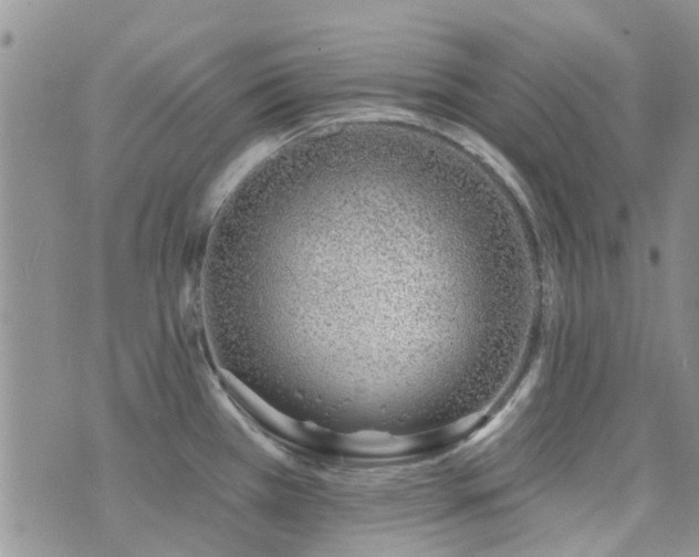 X0000073711385200608031228