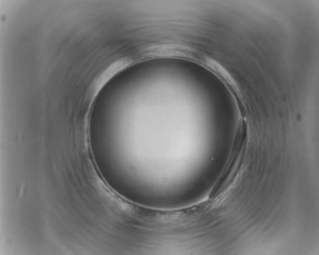 X0000073711386200608031228