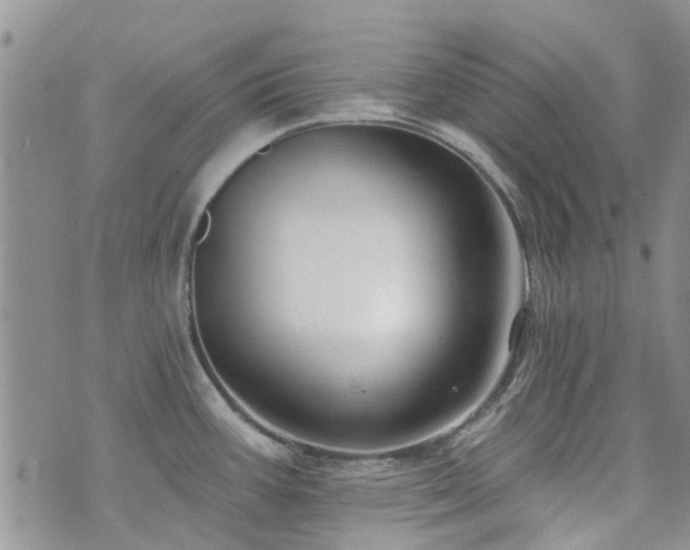 X0000073711387200608031228