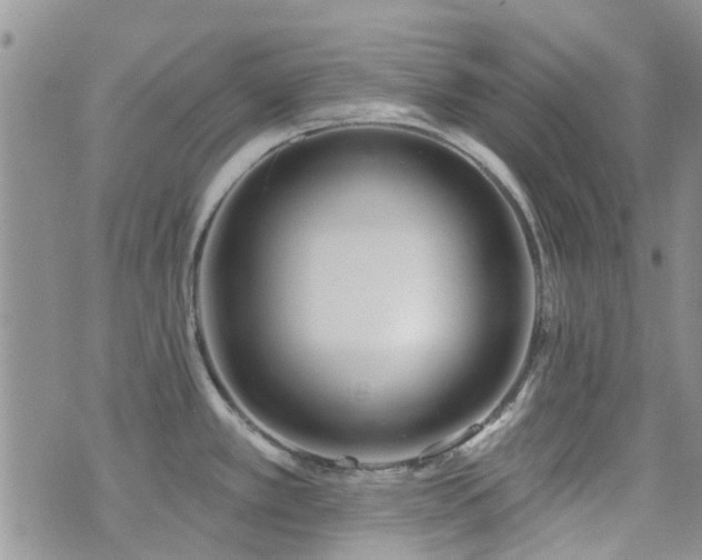 X0000073711389200608031228