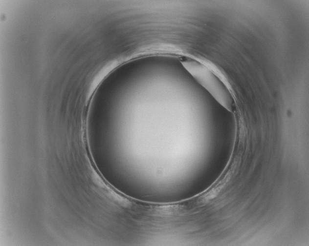 X0000073711390200608031228