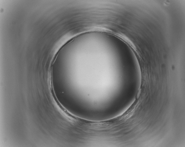 X0000073711391200608031228