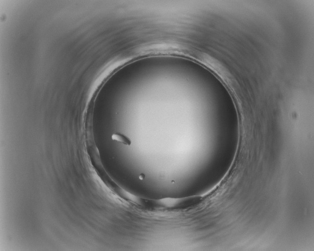 X0000073711392200608031228