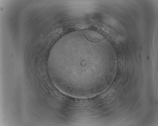 X0000073711393200608031228