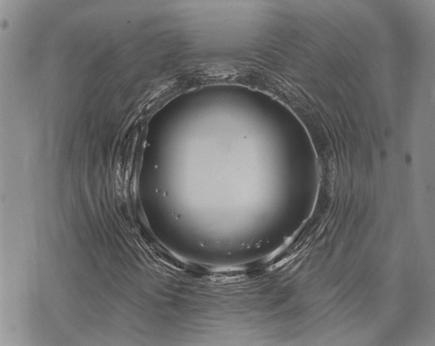 X0000073711394200608031228