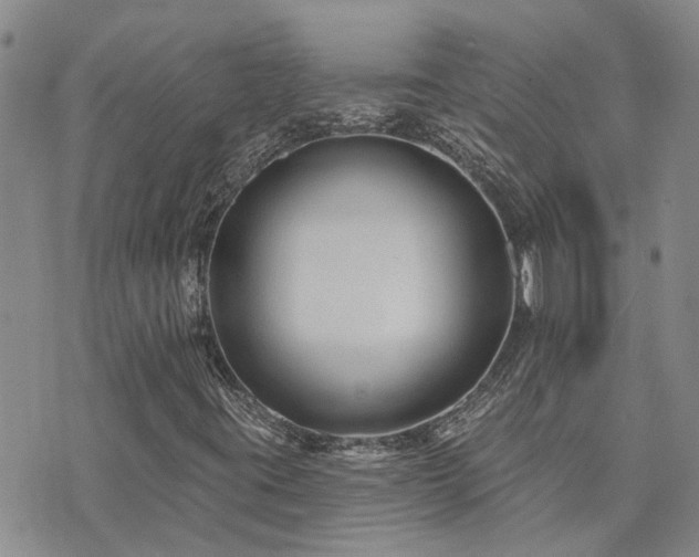 X0000073711395200608031228