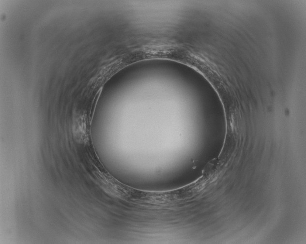 X0000073711396200608031228