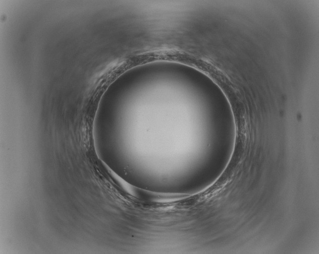 X0000073711398200608031228