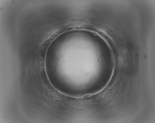 X0000073711399200608031228