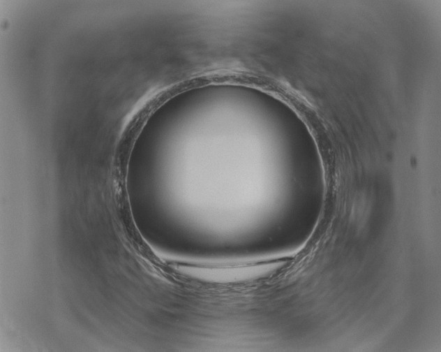 X0000073711400200608031228