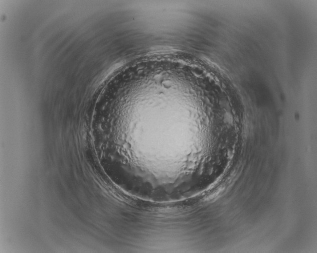 X0000073711401200608031228