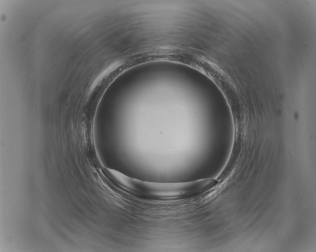 X0000073711402200608031228