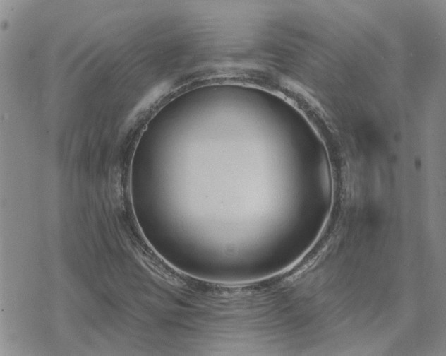 X0000073711403200608031228