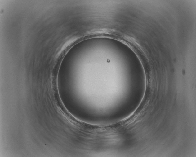 X0000073711404200608031228