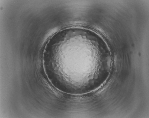 X0000073711405200608031228