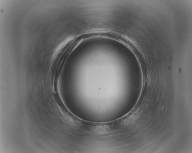 X0000073711406200608031228