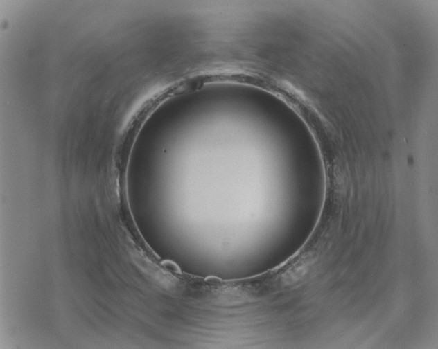 X0000073711408200608031228