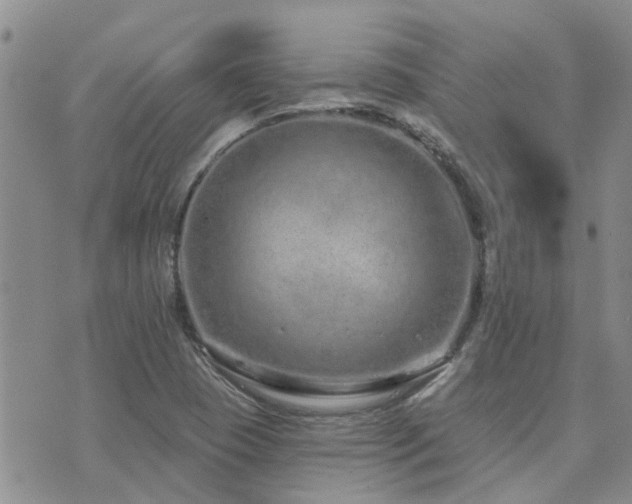 X0000073711409200608031228