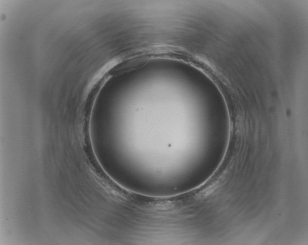 X0000073711410200608031228