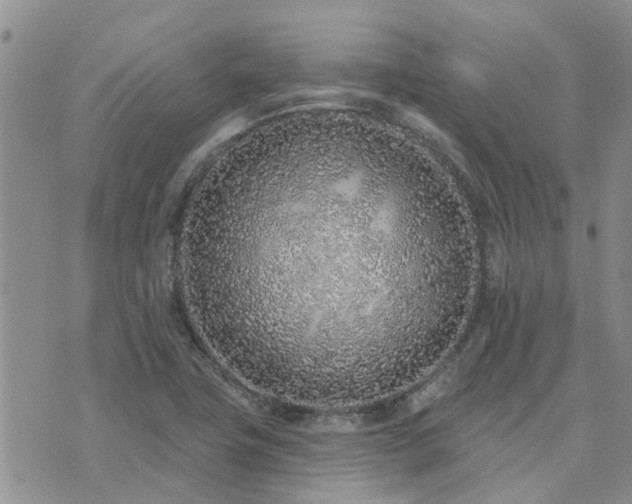 X0000073711411200608031228