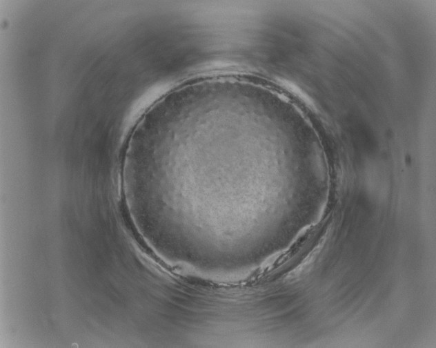 X0000073711413200608031228