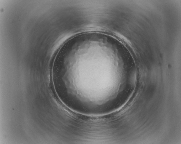 X0000073711415200608031228