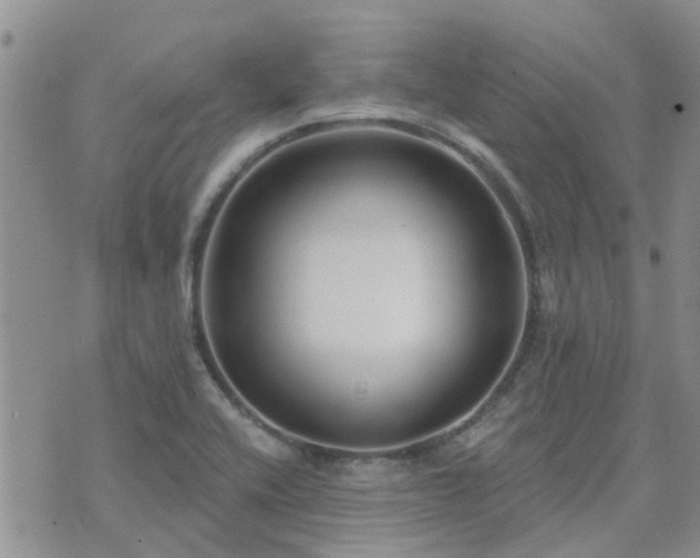 X0000073711416200608031228