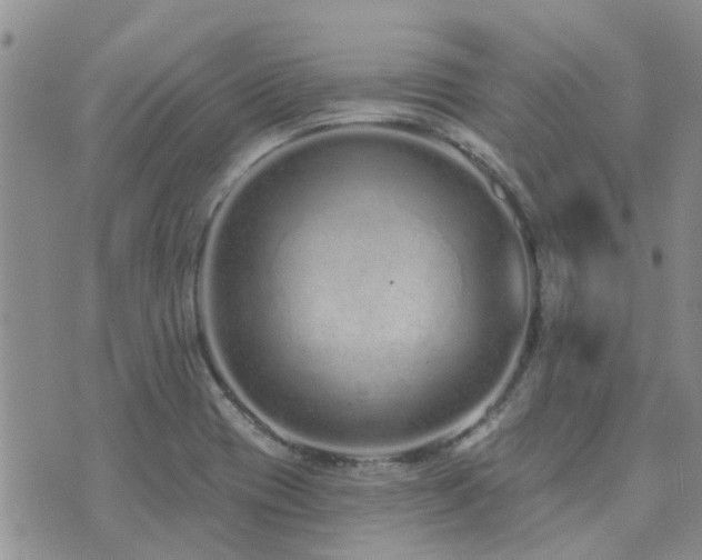 X0000073711417200608031228