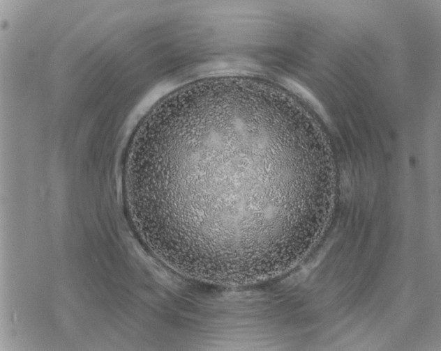 X0000073711419200608031228